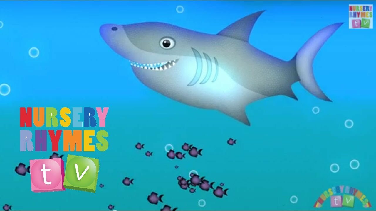 ANIMALS IN THE OCEAN | New Nursery Rhymes | English Songs For Kids | Nursery Rhymes TV